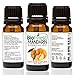BioFinest Mandarin Oil - 100% Pure Mandarin Essential Oil - Brighten Skin, Reduce Acne, Scars, Age Spots - Premium Quality - Therapeutic Grade - Best For Aromatherapy - FREE E-Book (10ml)