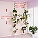 BAOYOUNI Indoor Plant Stands Spring Double Tension Pole Metal Flower Display Rack Space Saver Corner Floral Pot Storage Shelf with 12 Trays, 2 Hooks & 1 Telescopic Rod for Clothes Drying Hanger, Ivory