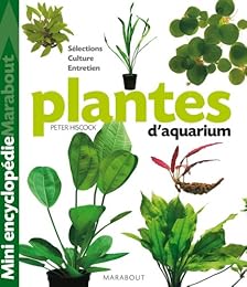 Plantes d'aquarium