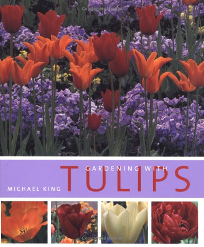 Gardening with Tulips by Michael King
