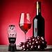 Best Wine Aerator Decanter – Premium Red Wine Pourer & Diffuser with Gift Box, Stand, Velvet Pouch and BONUS ebook
