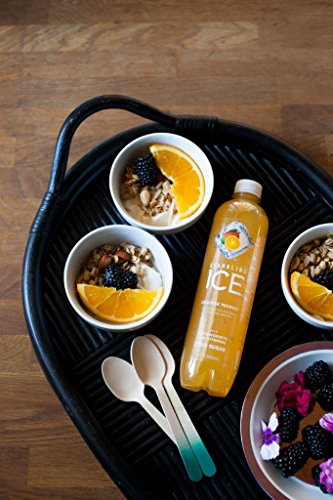 5 Sparkling+Variety+Pack+Ounce+Bottles