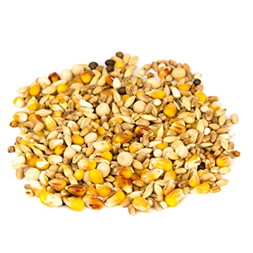 Leimüller Taubenfutter Classic 25 kg - Allroundfutter für alle Rassen - Artgerechtes Futter ohne GVO und Staub – Bild 4