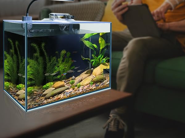 Photo 1 of 3 Gallon Fish Tank Aquarium AIO Starter Kit, Including HD Float Glass Small Fish Bowl, Heater, Self-Cleaning Filter, Light, Rocks, Gravel, Plants, Cleaning Tool Set.Beginner's Gift for Betta, Guppy