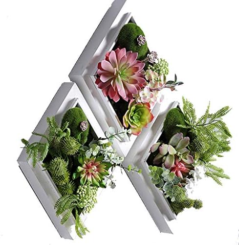人工多肉植物の壁の装飾 人気商品 装飾アートプリント ハンギングテンプレートホワイトフレーム3個セット