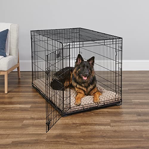 MidWest Homes for Pets Newly Enhanced Single & Double Door iCrate Dog