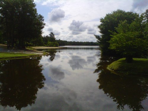 between Zen and Tao by M Scotty Cogdell