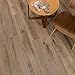 Cali Bamboo - Cali Vinyl Plus Cork-Backed Vinyl Floor, Extra Wide, Aged Hickory Wood Grain - Sample Size 5-3/4