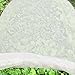 H&B Luxuries Plant Cover & Frost Protection Blanket for Seed Germination, Shrubs & Trees from Being Damaged, Bad Weather or Pests, White (5'x32')