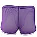 FEESHOW Men's Soft Sheer Mesh Boxer Briefs Shorts Underwear Lingerie Panties (Purple, XL)