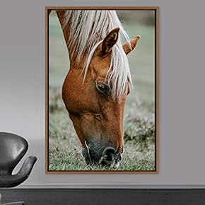 signwin Framed Canvas Wall Art Horse Animals Dramatic...