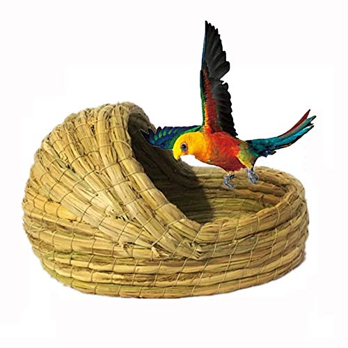 Nistkästen Garden Courtyard Bird's Nest Umweltfreundliches Vogelhaus, Benutzt Für Tauben Und Papageien, Um Sich Auszuruhen Und Vogelkäfige Zu Züchten (Size : 30x22cm) – Bild 4