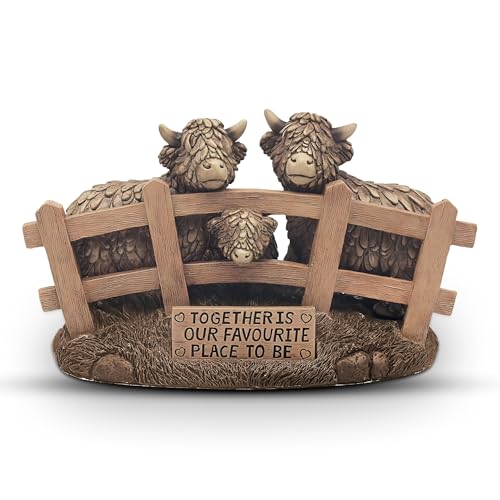 Highland Cows Together