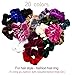 Ondder 18 Pack Velvet Scrunchies Hair Bobble Elastics Hair Scrunchy Hair Bands Headbands Women Scrunchies Bobbles Hair Ties, 18 Colors