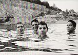 SPIDERLAND [Vinyl]