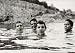 SPIDERLAND [Vinyl] primary