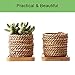 IHUIXINHE Bamboo Plant Saucer Round Plant Pot Tray Indoor Outdoor Plants, Set of 6 (Square)thumb 4
