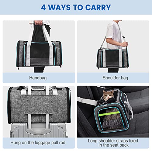 CATISM Cat Carrier,Airline Approved Pet Carriers,Collapsible 15 Lbs - Bearing Dog Carriers, 3 Openable mesh Windows and Escape-Proof Buckle for Pet\'s Journey Safe and Comfortable