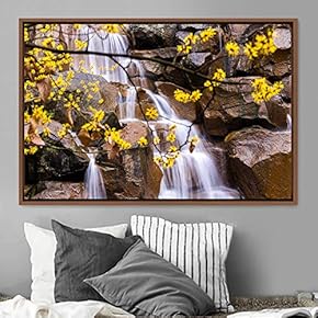 signwin Framed Canvas Wall Art Mountainfalls Group Multicolor...