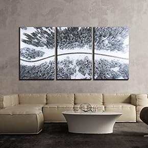 3 Piece Canvas Wall Art - Bird