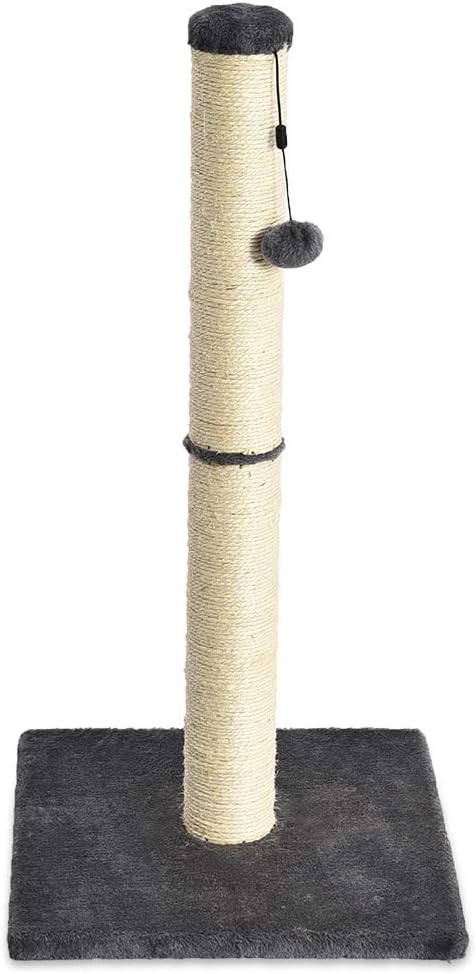 Basics Medium Cat Scratching Post - 16 x 16 x 32 Inches, Gray : Pet Supplies