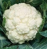 David's Garden Seeds Cauliflower Amazing D223 (White) 50 Open Pollinated Seeds