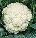 David's Garden Seeds Cauliflower Amazing SL2323 (White) 50 Non-GMO, Heirloom Seeds
