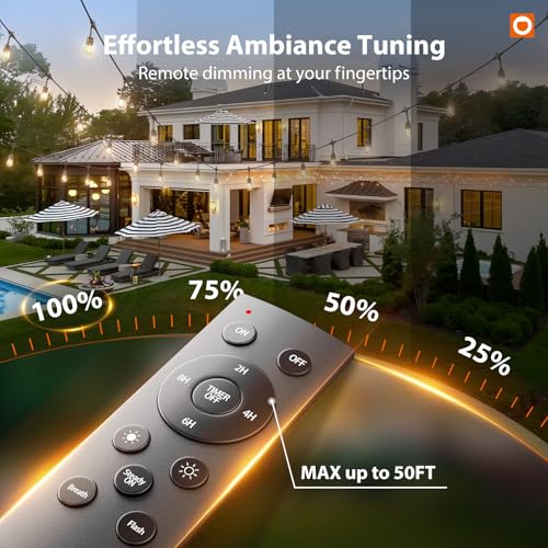 addlon 100FT Outdoor String Lights with Remote Dimmable Patio Lights Waterproof Shatterproof Edison Bulb for Outside Backyard Porch Garden Bistro Pergola Party Decor, Warm Ambience Lighting