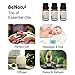 Benatu Citrus Scent Diffuser Oil for Home - (Sweet Orange, Grapefruit, Bergamot) Pure Essential Oil Sets for Soap Making, Body Massage, Aromatherapy