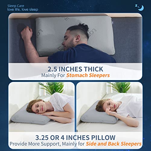 Lofe 2.5'' Thin Memory Foam Pillow for Stomach Sleepers Two Washable