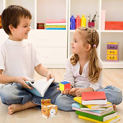 6 FantiX+Cyclone+Speed+Stickerless+Puzzles