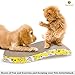 SunGrow Rabbit, Ferret & Cat Scratcher Board, Prevent Electric Shock from Wire Chew, Stop Carpet, Wood & Shoe Chewing, No Scratch Furniture, Alternative to Spray, Safe to Chew
