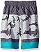 Big Chill Boys' Shark Color Block Swim Trunk