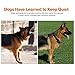 Bark Collar [2018 Upgrade Chip] Dog No Bark Collars with Vibration and Harmless Shock(Can Be Switched Off)-USB Rechargeable Anti Barking Device for Small Medium and Large Dog