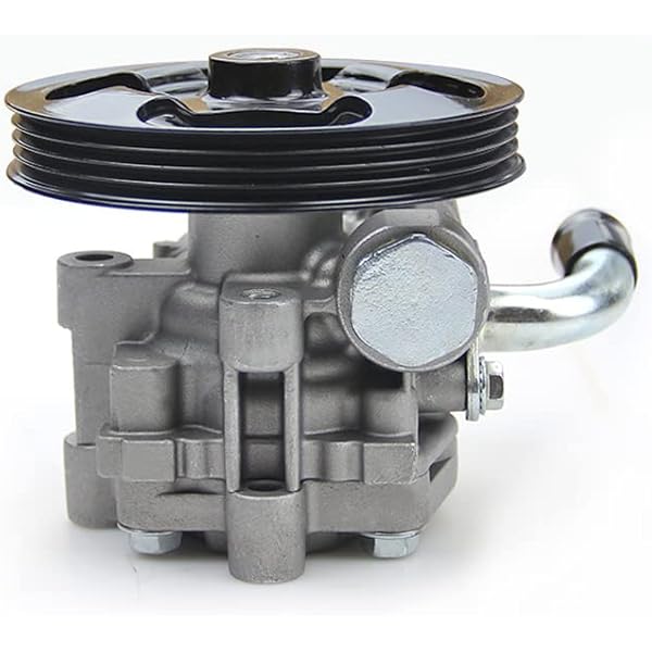Amazon.com: EMIAOTO MB501385 MB540001 Power Steering Pump MB636555 