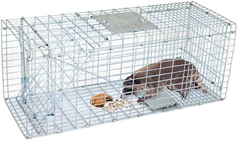 BBBuy Live Animal Humane Trap Cage Catch and Release Rats Mouse Mice Rodents Squirrels and Similar Sized Pests (32 Inch Wire Mesh Door)