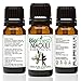 Biofinest Niaouli Essential Oil - 100% Pure Organic Therapeutic Grade - Best for Aromatherapy, Skin Care, Ease Stress Headache Acne Wounds Scars Muscle Arthritis Joint Pain - FREE E-Book (10ml)