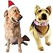 Bolbove Big Christmas Hat and Santa Collar with Bell for Medium to Large Dogs (Large)