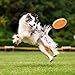 LaRoo Dog Flying Disc Indestructible Dog Frisbee Dog Toys Frisbee for Small, Medium and Large Dogs