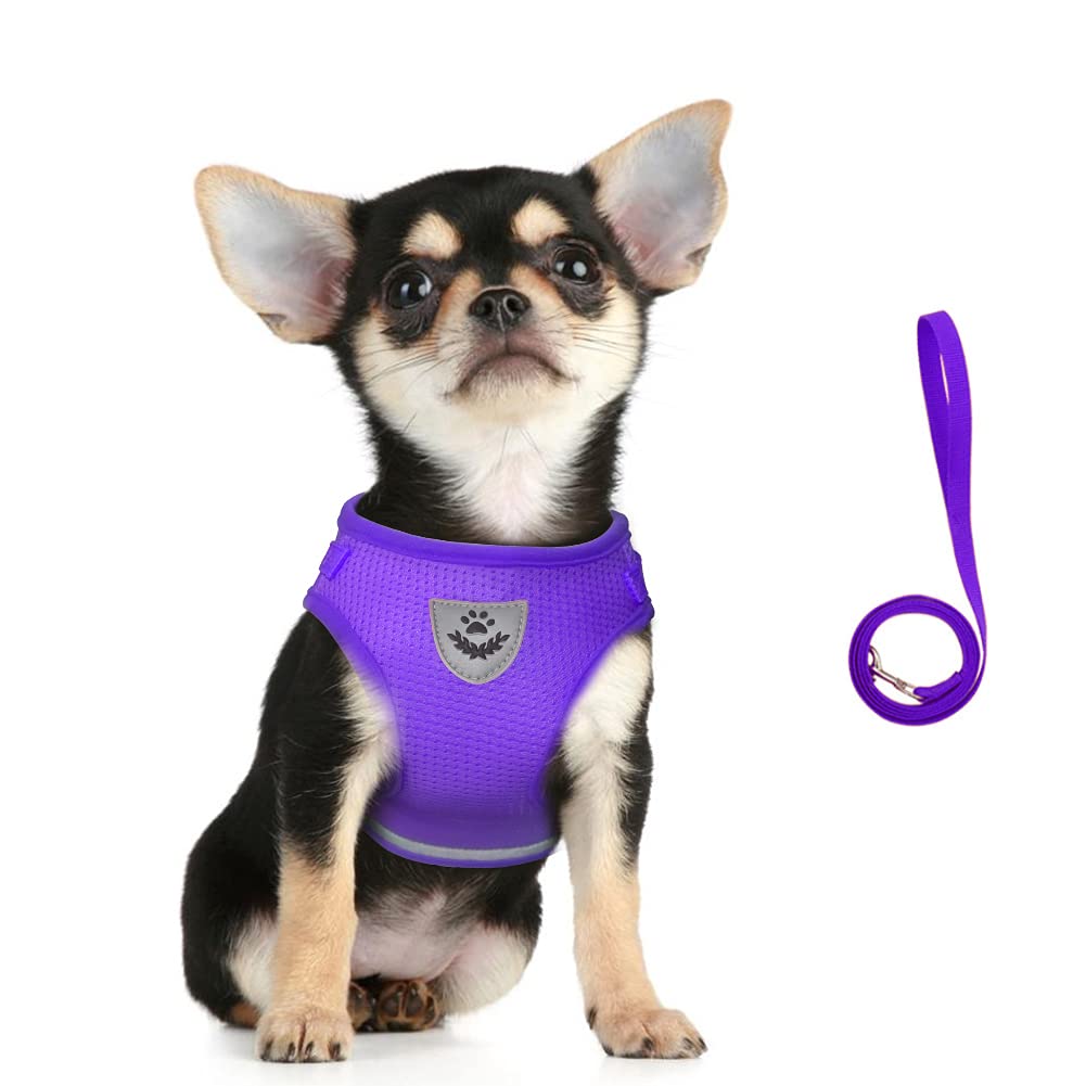 FEimaX No Pull Dog Harness Adjustable Reflective Pet Vest Harness and Leash Set for Puppy Kitten, Breathable Soft Mesh Padded Escape Proof Cat Jacket for Outdoor Easy Control Walking Training