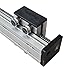 Industrial Linear Guide Slide Table Ball Screw Motion Rail CNC Linear Actuator Stage with 42 Stepper Motor[200mm]