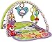 Fisher-Price Woodland Friends 3-in-1 Musical Activity Gym