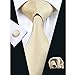 Hi-Tie Gold Woven Silk Necktie Tie Pocket Square Cufflinks set For Men