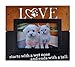 Spiretro 4 x 6 inch Memorial Pet Dog and Cat Wood Picture Frame with Easel & Plexiglass, Tabletop Display or Wall Mounting Decor, Metallic Blond Patina and Espresso Black Photo Frame