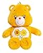 Care Bears Friend Medium Plush with DVD