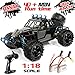 Exercise N Play RC Car, Remote Control Car, Terrain RC Cars, Electric Remote Control Off Road Monster Truck, 1:18 Scale 2.4Ghz Radio 4WD Fast 30+ MPH RC Car, with 2 Rechargeable Batteries