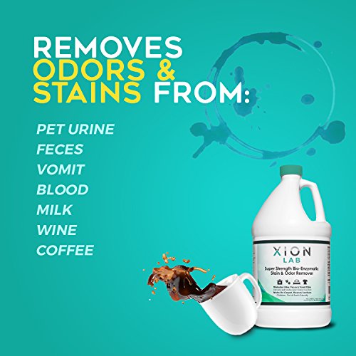 XIONLAB Super Strength Enzyme Cleaner Urine Remover and Pet Odor