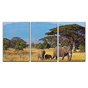 3 Piece Canvas Wall Art - Elephant Family in Front of Kilimanjaro - Modern Home Art Stretched and Framed Ready to Hang - 16"x24"x3 Panels