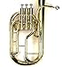 HAICHENWEI Intermediate Monel Pistons Alto Horn w/Case & Mouthpiece-Gold Lacquer Finish