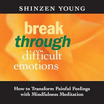 How to Transform Painful Feelings with Mindfulness Meditation - Shinzen Young